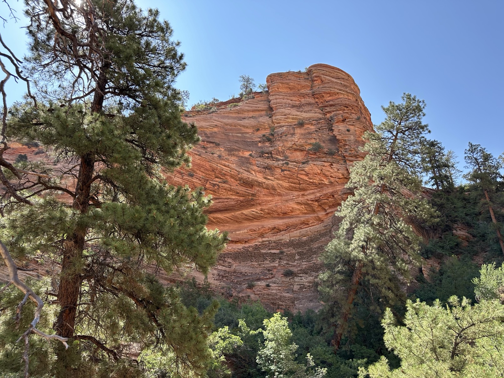 Road trip photo 61