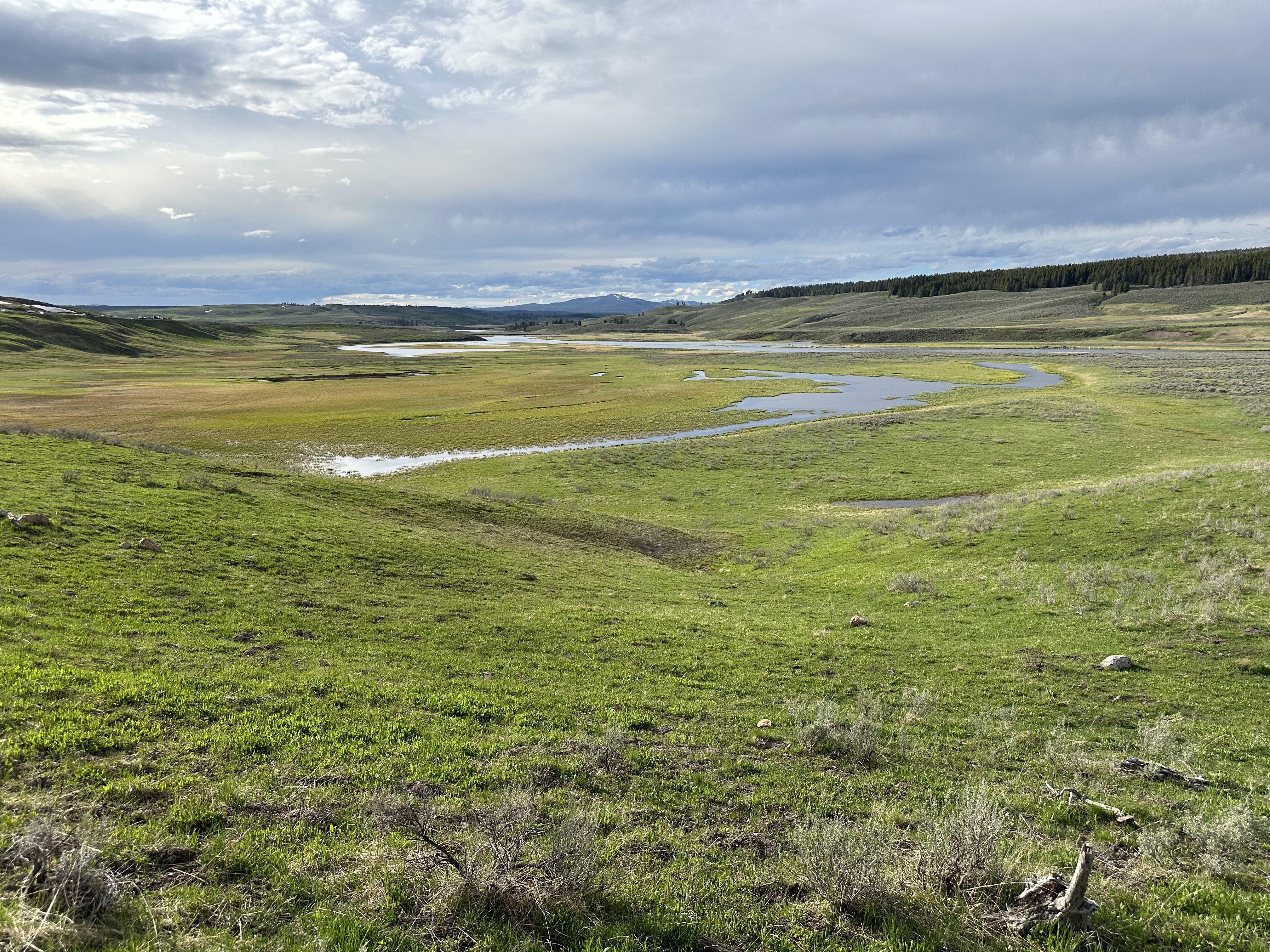 Road trip photo 31