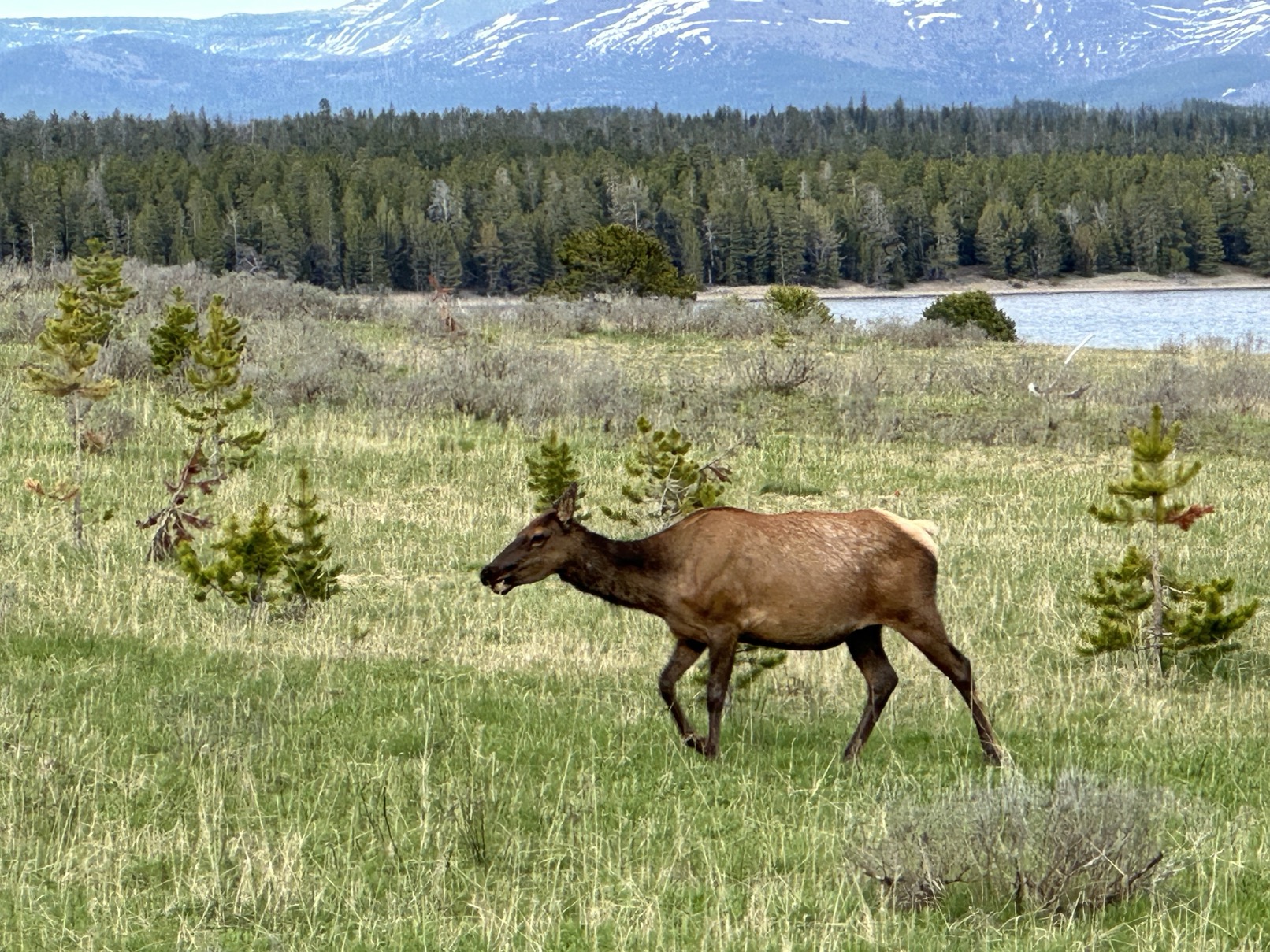 Road trip photo 34
